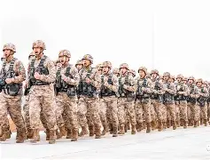 开云,kaiyun-集结日突围战来临，里尔围绕德甲刷新队史纪录，目标明确，临场指挥获称赞的简单介绍